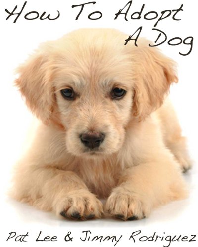 dog adoption 