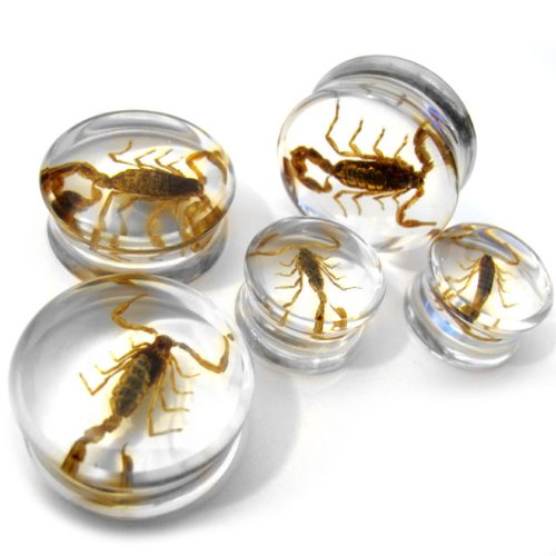 Pair of 5/8 Gauge (16mm) Scorpion Inlay Bug Plugs - Double Flare