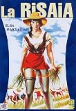 la risaia / Rice Girl (Dvd) Italian Import