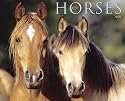 Just Horses 2009 Calendar