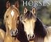 Just Horses 2009 Calendar (Just)