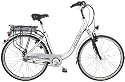 TERRABIKE E-Bike 28" electric sports bicycle 36Volt SRAM gearhub