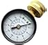 Rain Bird P2A Pressure Gauge