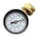 Rain Bird P2A Water Pressure Gauge