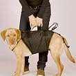 Hunde- Traghilfe TH -8