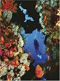Ravensburger Puzzle - National Geographic - Coral Reef (1000 pieces)