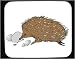 Mouse Pad with echidna, australia, eating, mammal, animal, marsupial