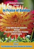 In Praise of Dahlias