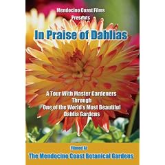 In Praise of Dahlias by 
