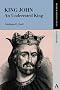 King John: An Underrated King (Anthem Perspectives in History)