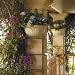 Freda Wall Mount Planter