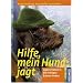 Hilfe, mein Hund jagt: Jagdverhalten in die richtigen Bahnen lenken