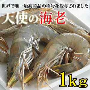 天使の海老 （1kg・30～40尾）