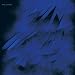 We Share Our Mothers' Health (Ratatat Remix)