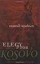 Elegy for Kosovo