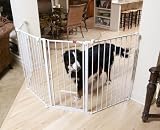 Extra Tall Flexi Gate