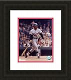 Photo File Minnesota Twins Rod Carew Framed Photo
