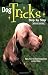 Dog Tricks: Step by Step Dog Tricks: Step by Step cover image