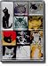 Pussy Cats Mighty Magnets Set of 10 magnets