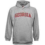 Nike Georgia Bulldogs Ash Juvenile Classic Hoody Sweatshirt