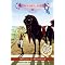 Horse Books for a Beginning Reader