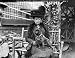 1904 FRENCH BULLDOG BULL DOG IN PARIS PHOTO
