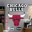 Fathead Chicago Bulls Logo Wall Decal