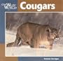 Cougars (Our Wild World)
