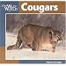 Cougars (Our Wild World)