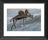 Framed Print of from Flpa