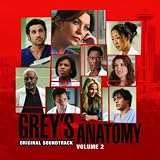 Grey's Anatomy: Volume 2