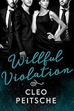 Willful Violation (Lawyers Behaving Badly Book 3)