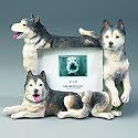 Siberian Husky -4"x6" Picture Frame