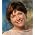 Thumbnail image of Lori Lite