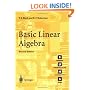 Basic Linear Algebra (Springer Undergraduate Mathematics) (Springer Undergraduate Mathematics Series)