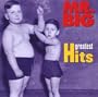 Greatest Hits (Rpkg)