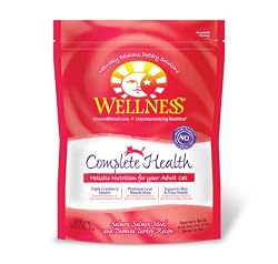 Wellness Dry Cat Food for Adult Cats, Complete Health Salmon Recipe, 47 oz. Bag