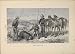 Bear Bears Horse Horses Hunt Hunted Hunting Old Print