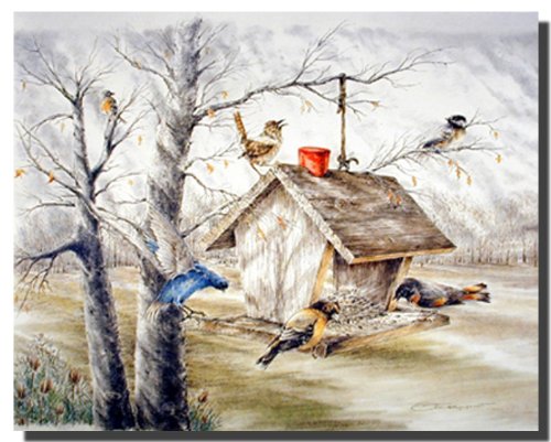 Wild Birds At Feeder House Wall Decor Art Print Poster (16x20)