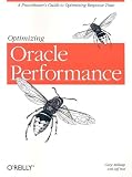 Optimizing Oracle Performance