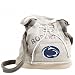 Penn State Nittany Lions Hoodie Messenger Bag