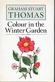 Colour in the winter garden