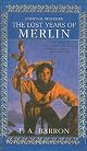 The Lost Years of Merlin