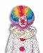 Jumbo Rainbow Clown Wig