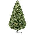 7.5' PHILIPS FRASER PE TREE