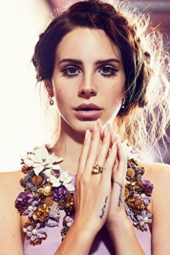 Lana Del Rey Nice Silk Fabric Cloth Wall Poster Print (36x24inch)