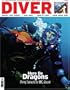 Diver