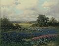 ROBERT WOOD Bluebonnets Limited Edition- Canvas 