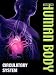 Book cover for 9781848983281