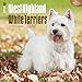 West Highland White Terriers 2016 Wall Calendar
